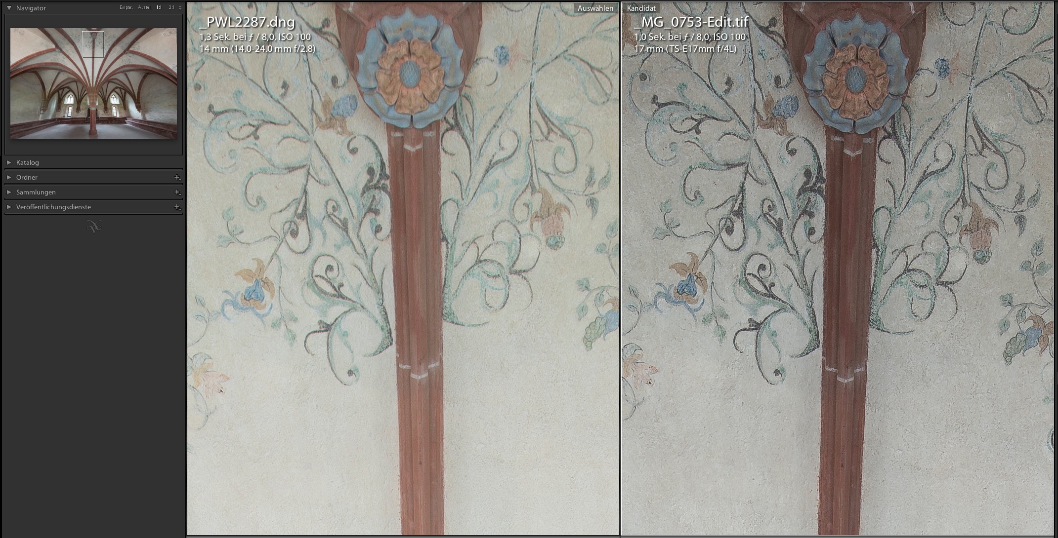 D800E plus 14-24 at 14 mm f/8.0 cs 5D II with TS-E 17 four frames stitchend and then cut to the same FOV as the 14 mm on the nikon - also at f/8.0 - both images optimized and sharpened - Nikkor 120 and Canon 80 in LR 